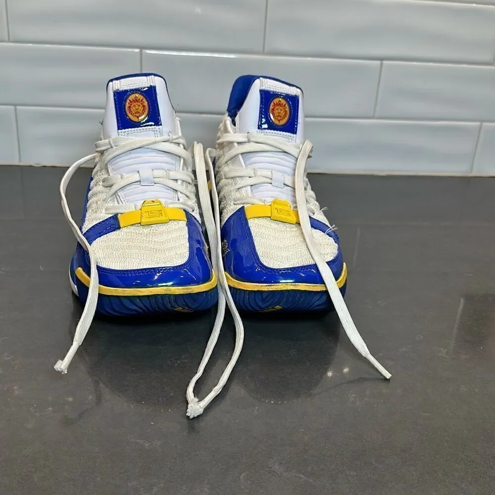 NIKE LEBRON XVI 16 SB SUPERMAN “SUPERBRON” CD2451-100 SIZE US 6